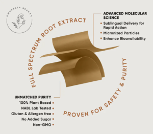 ورقه‌ی روزبانی آشواگاندا Wellbeing Nutrition بسته 30 عددی